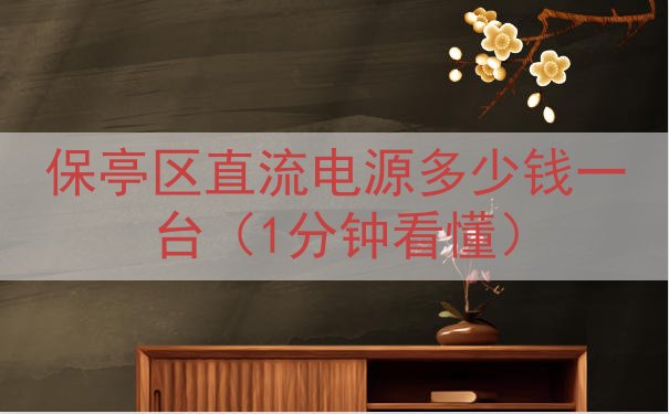 保亭区直流电源多少钱一台（1分钟看懂）